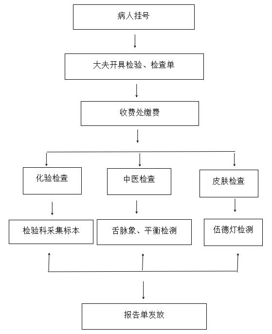 檢驗(yàn)檢查流程